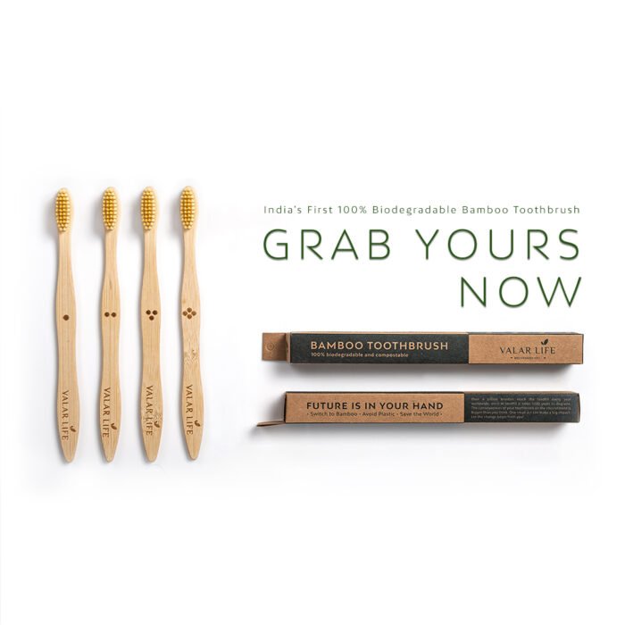 Bamboo brush