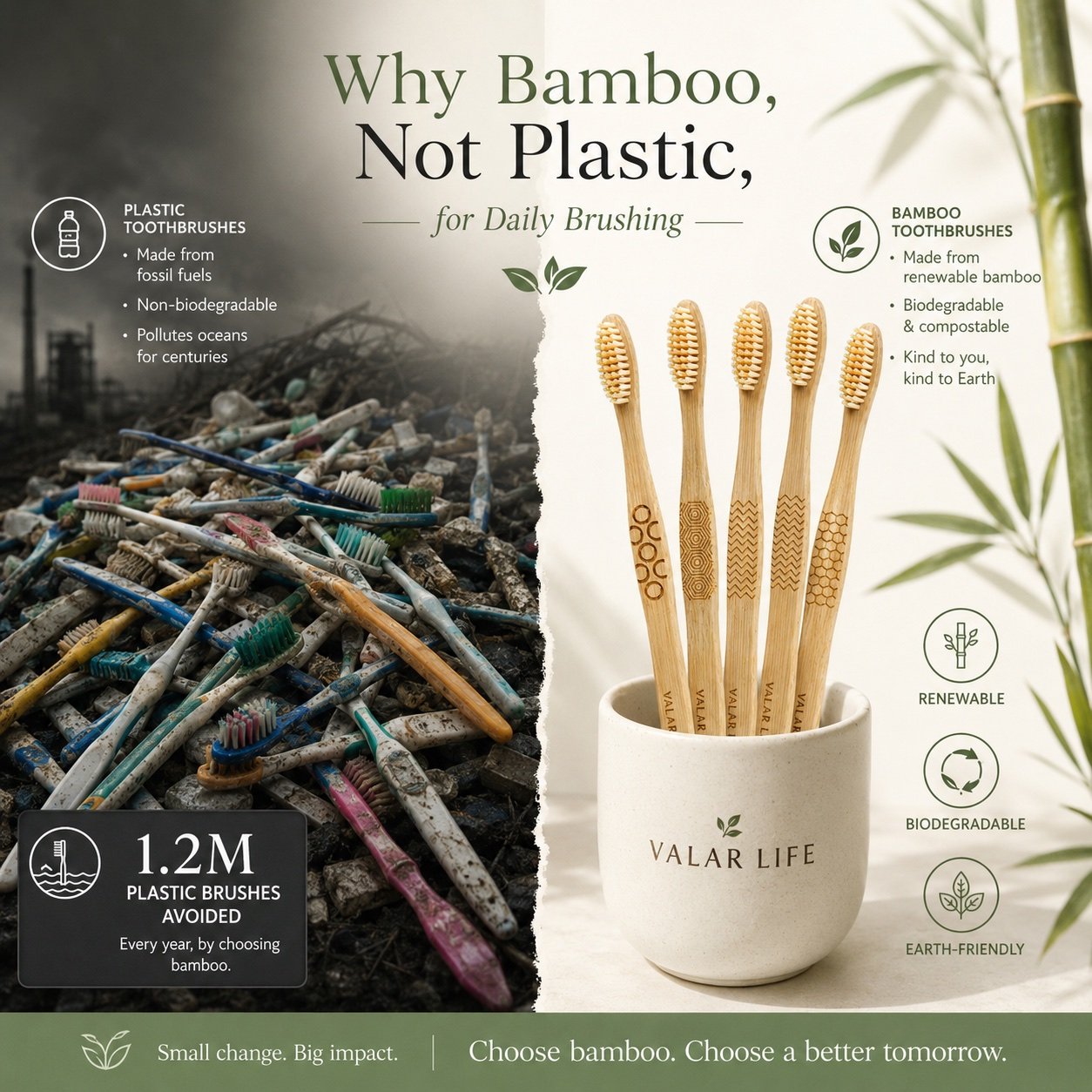 Why bamboo toothbrushes are a renewable and biodegradable alternative to plastic toothbrushes